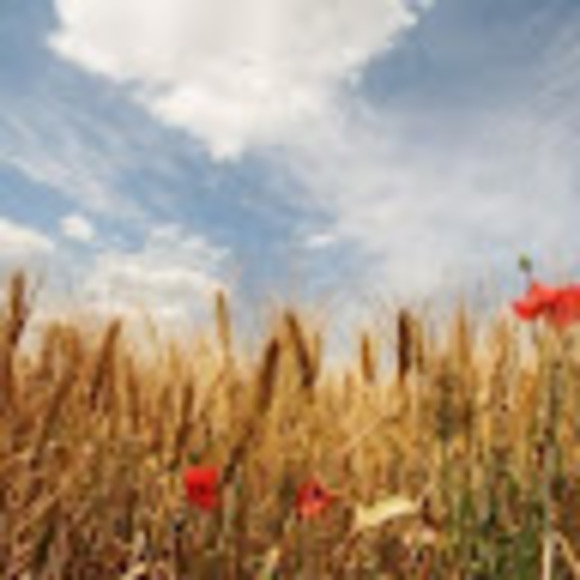 Meet your Posher, Андрей - Picture 1 of 1